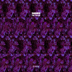 Saurio - Orionians [HXAGRM058]