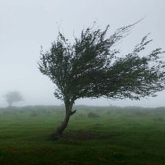 Degrain feat. Intraplicated - Veter