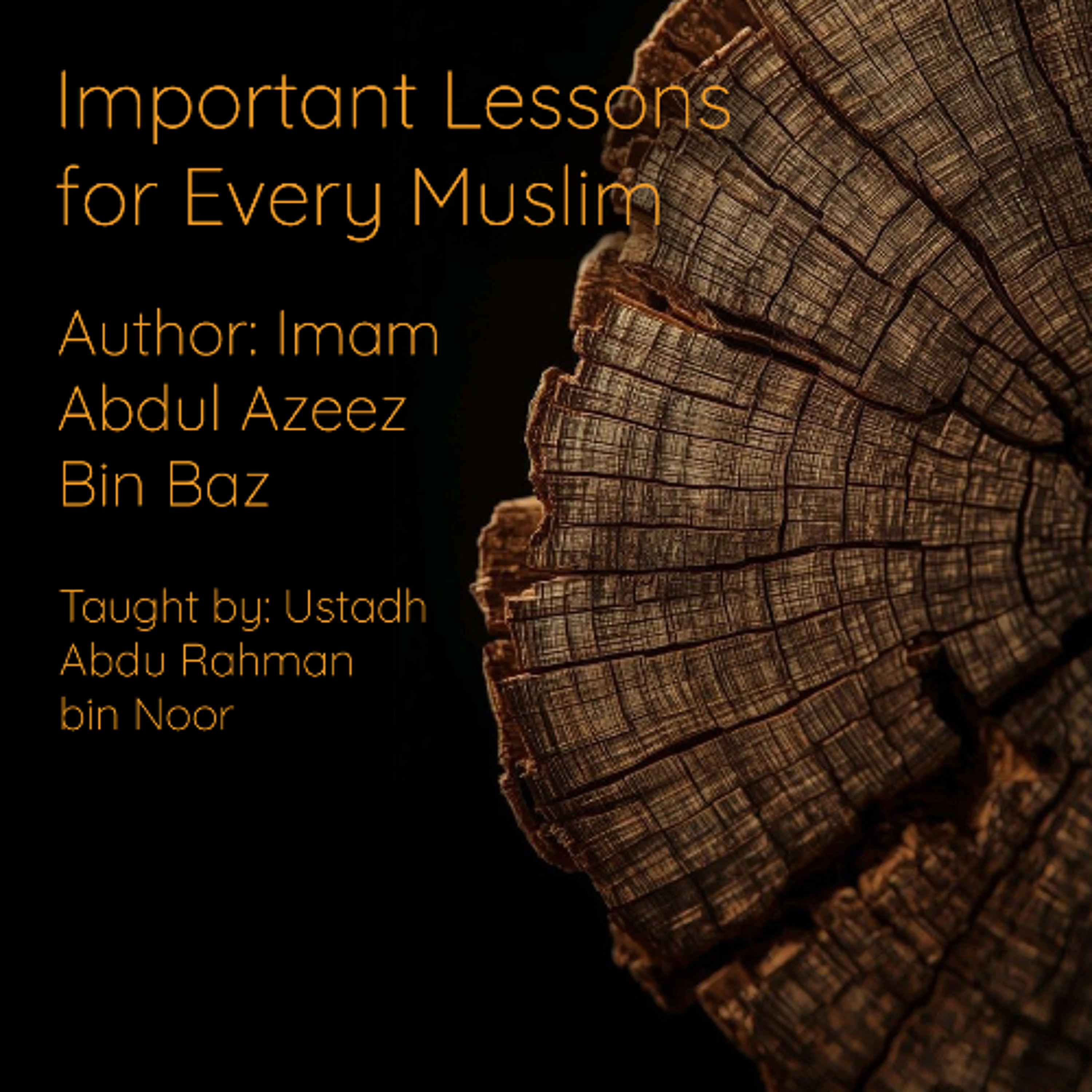 18. 18 Important Lessons For Every Muslim   Abdu Rahman bin Noor episode artwork