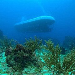 Best Atlantis Submarine Expedition In Cozumel Tours Review