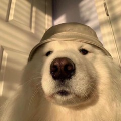 상상 - 선우정아 Cover By Jun.K