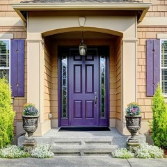 purple door (MIA demo)