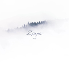 Zayne Pt. 2