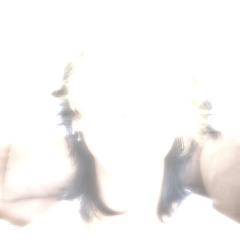 spine (neohn x variant)
