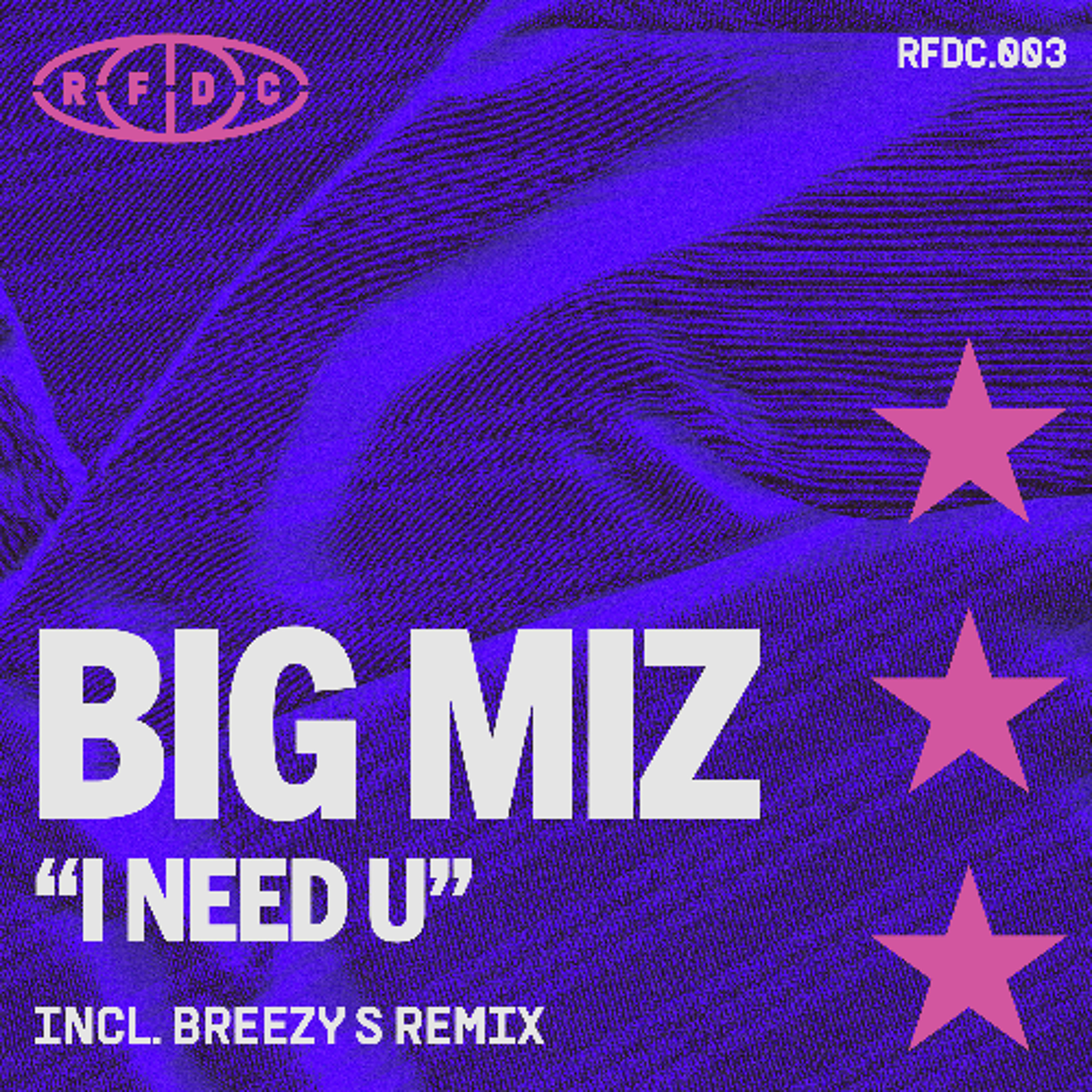 PREMIERE - Big Miz - Acid Roller (Breezy S Remix) (Retro Future Disco Club) episode artwork