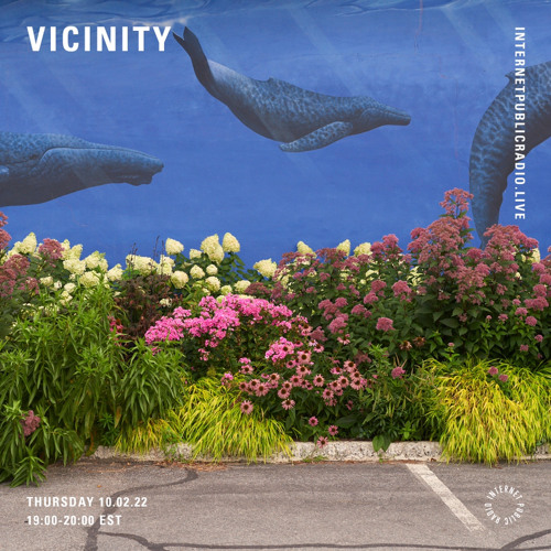 Vicinity w/ K.Mal - Feb '22