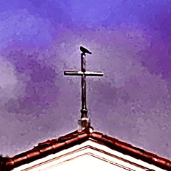 Crow on the Cross