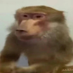 Кишлак - Самые модные