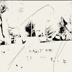 The schoolyard