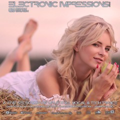 Electronic Impressions 943 with Danny Grunow