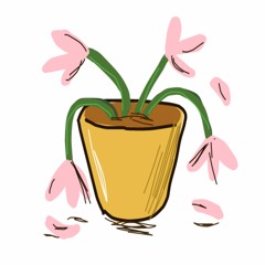 bloom (lyrics in desc.)