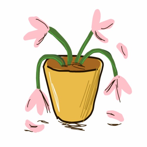 bloom (lyrics in desc.)