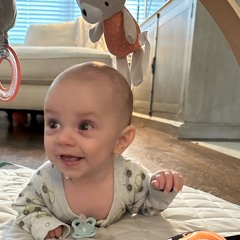 BirdLookinMōFōsBeware