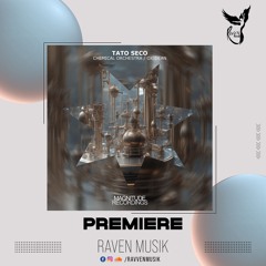 PREMIERE: Tato Seco - Oxidean (Paul Hazendonk Remix) [Magnitude Recordings]