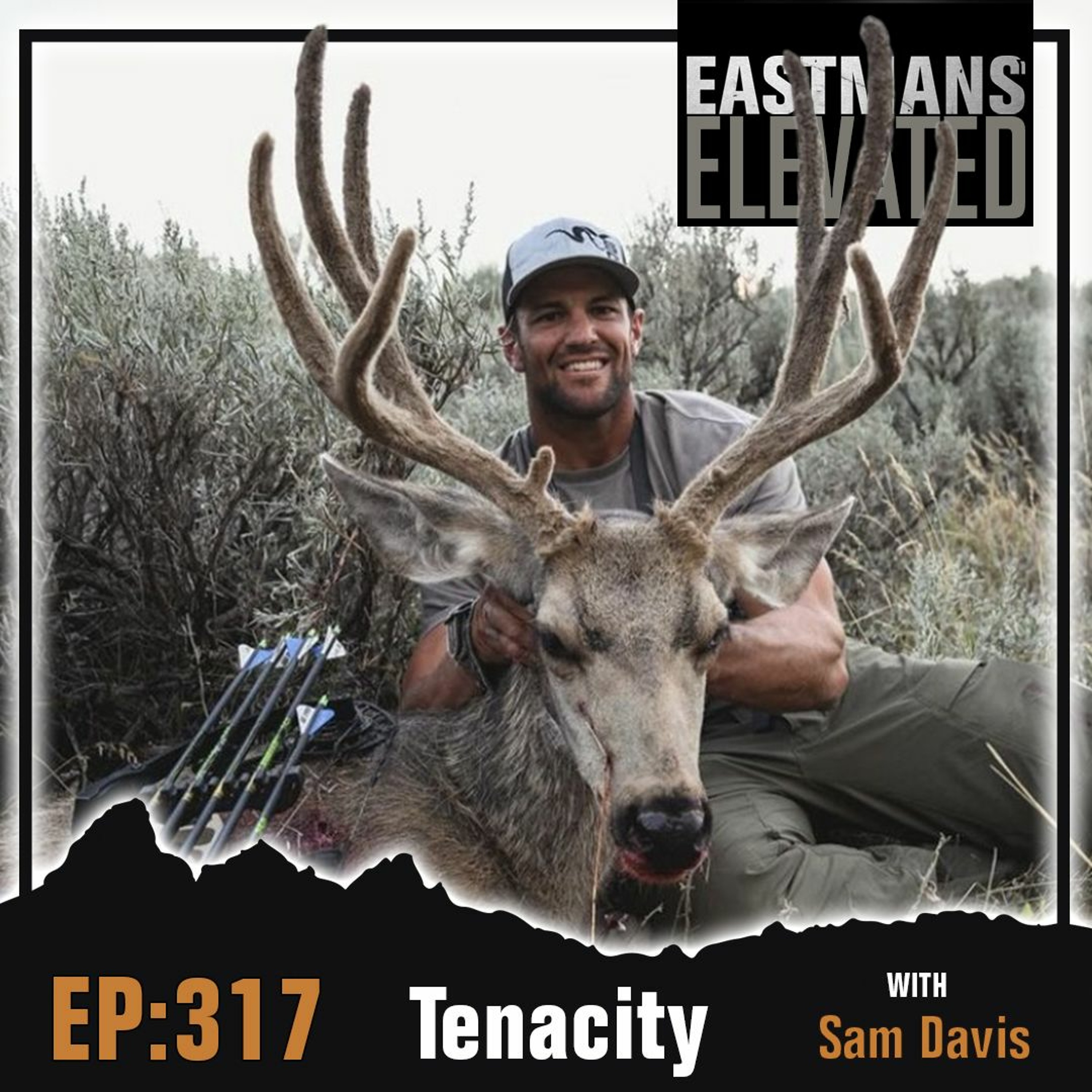 Episode 317: Tenacity with Sam Davis