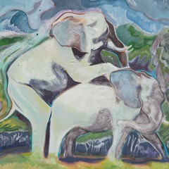ML784: Kobermann