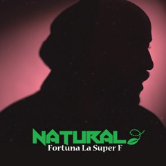 Stream FORTUNA LA SUPER F  Listen to music tracks and songs