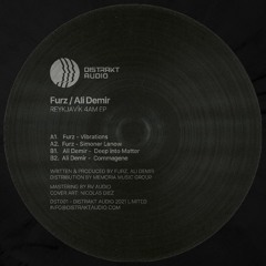 Premiere: A2 - Furz - Simoner Lenow [DST001]