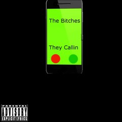 The Bitches, They Callin (Prod. by Eric Godlow)