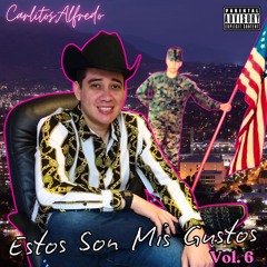 Estos Son Mis Gustos Vol. 6 [Spanglish Corridos 2025]