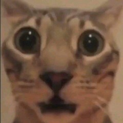 1 mình chơi hộp 5