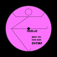 Have you ever seen Catib? THEBO.eXE #002