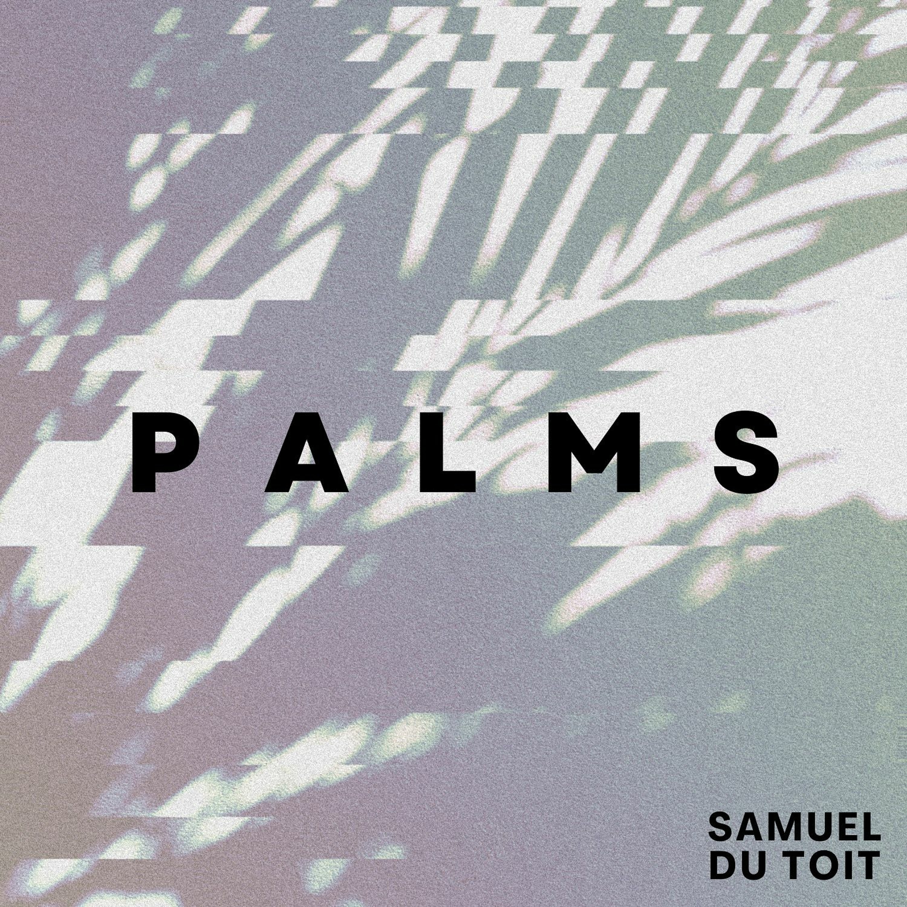 PALMS episode artwork