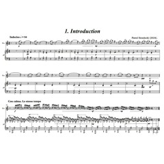 Pawel Strzelecki: Sonata for Alto Flute and Piano (2025), 17' ca.