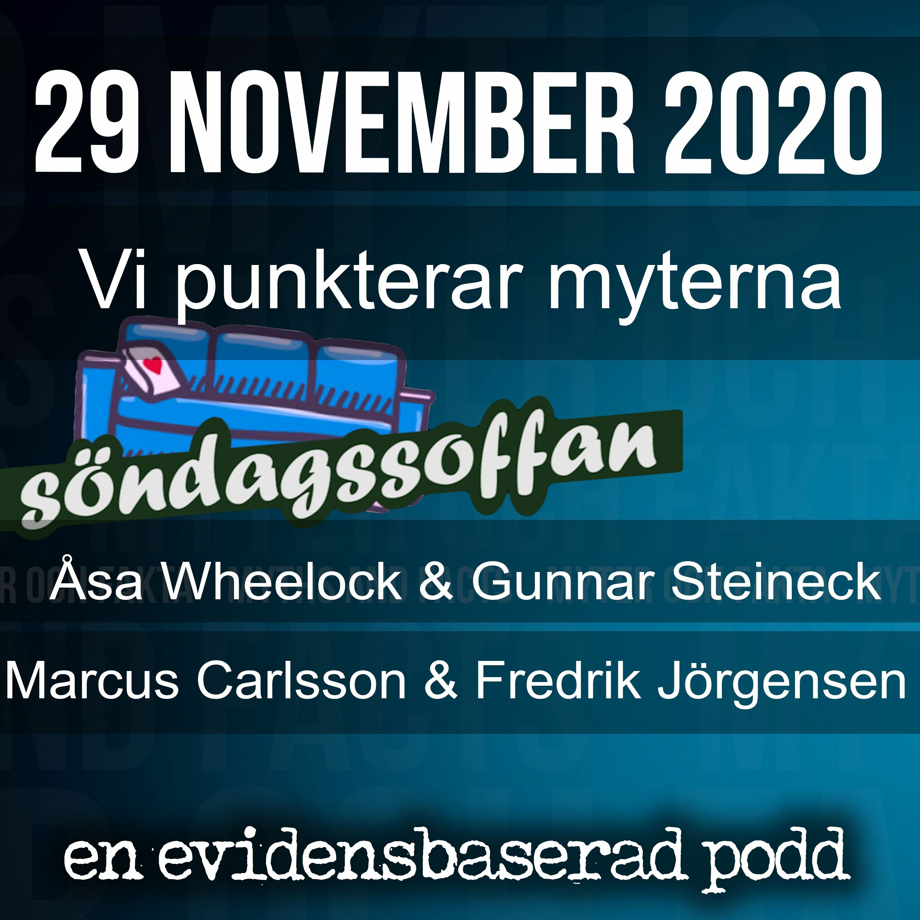 Vetenskapsforum covid-19