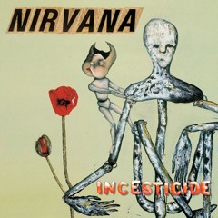 Nirvana - New Wave Polly - (Guitar Cover)