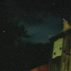 Thought that was u w/TY (prod.  Morrow)