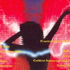 This Tape Will Self Destruct (Drum & Bass on vinyl)