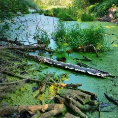 Tweet me baby one more time!