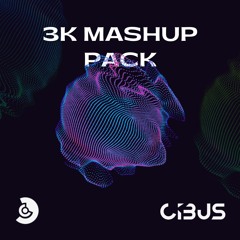 3K MASH-UP PACK