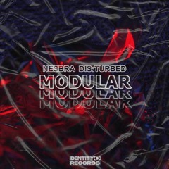 Nesbra X DIS:TURBED - 'Modular' [Identity Records]