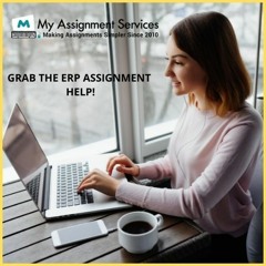 Grab The ERP Assignment Help!