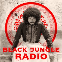 Black Jungle Radio #2