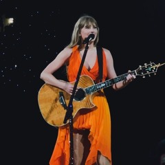 I did something bad (live at the eras tour) ~ ts