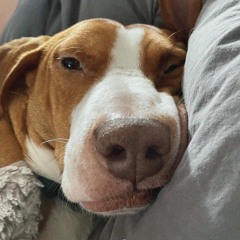 Don't Let The Green Grass Fool You (Wilson Pickett cover)