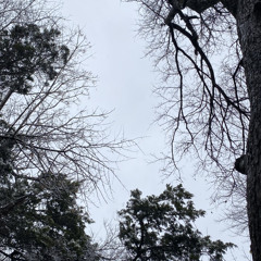 Not So Lucky #4(AyC Mix)