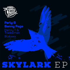 Skylark (Benny Page remix)