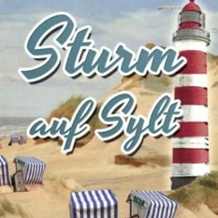 (PDF/DOWNLOAD) Learn German With Stories: Sturm auf Sylt – 10 Short Stories For Beginners