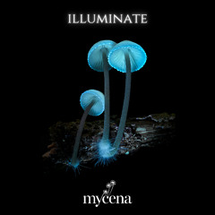 Hyphae (ambient mix)