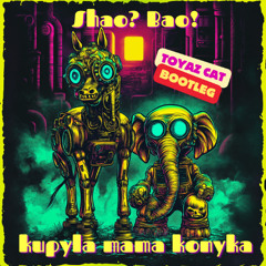 Шао? Бао! - Купила мама коника (Toyaz Cat bootleg)
