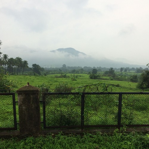 cash, ćma - the archangels are watching over us