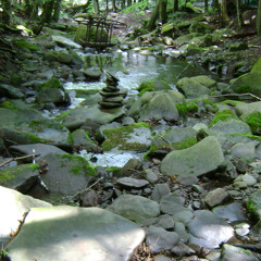 DJ RITZ Presents: The Chris Dow(er) Power Hour Ep 245