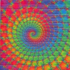 Legalize Socialist Democracy