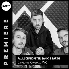 PREMIERE : Paul Schmidpeter, Sanio & Zarth - Sanguine (Original Mix) [Living Like Birds]