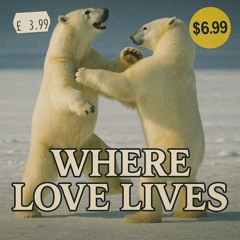 Where Love Lives - Alison Limerick (502 Disco Cover)