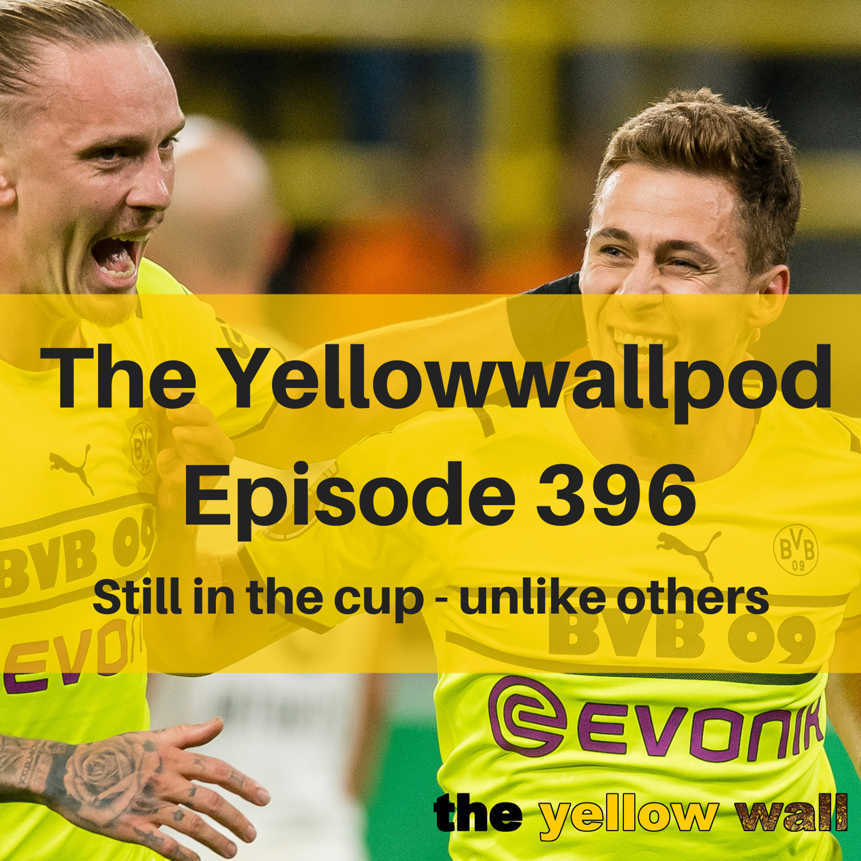 Yellowwallpod